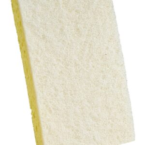 Cellulose Sponge with Light Duty Scouring Pad