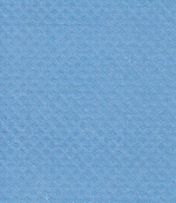 All-Purpose Sponge Cloth in Blue